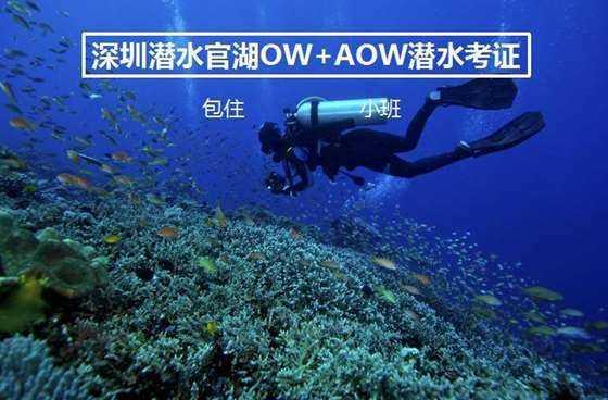 第一视点·读图丨20年里的几件“小事”